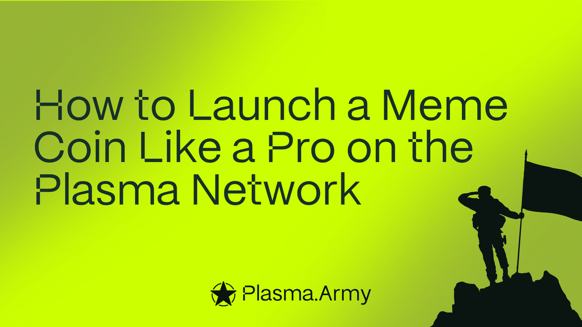 How to Launch a Meme Coin Like a Pro on the Plasma Network